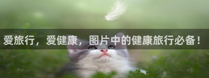 海角社区乱精品：爱旅行，爱健康，图片中的