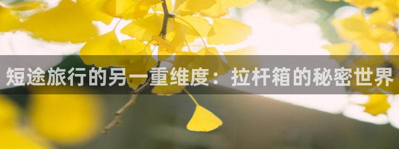 海角社区欢迎回家：短途旅行的另一重维度：