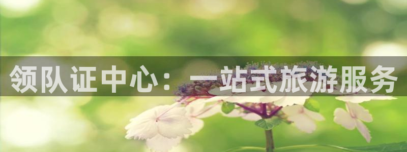 hjcbc海角社区：领队证中心：一站式旅