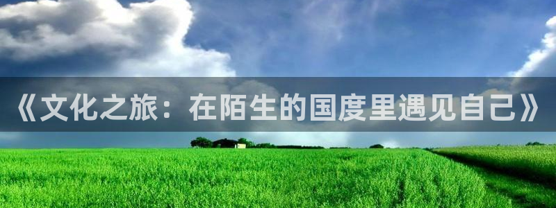 海角社区官网首页登录网址是什么：《文化之