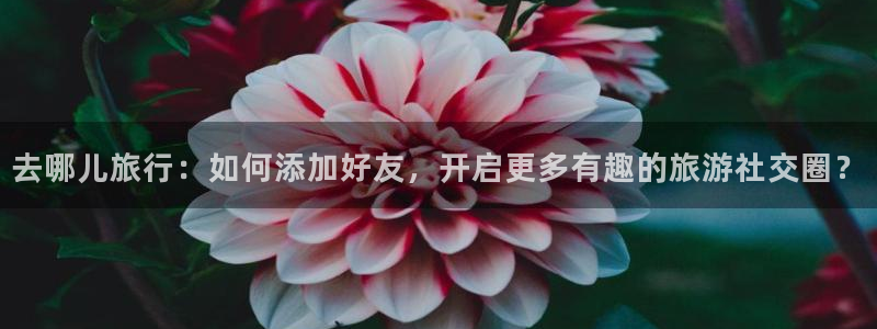 海角社区.com.：去哪儿旅行：如何添加