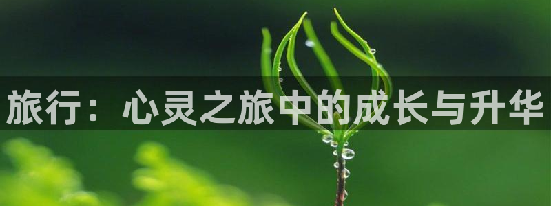 “海角社区入口在线：旅行：心灵之旅中的成长