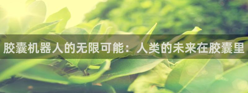 海角社区毛片：胶囊机器人的无限可能：人类
