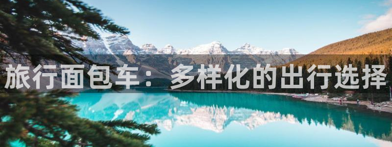 海角社区在线免费观看：旅行面包车：多样化