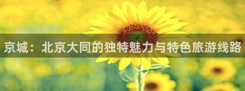 怎样进入海角社区：京城：北京大同的独特魅