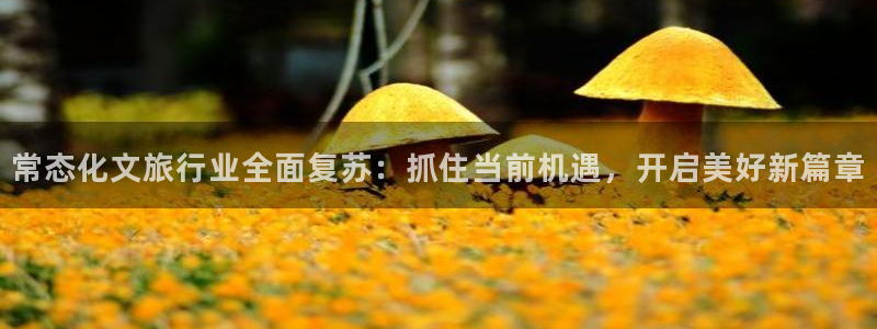 海角社区披风：常态化文旅行业全面复苏：抓